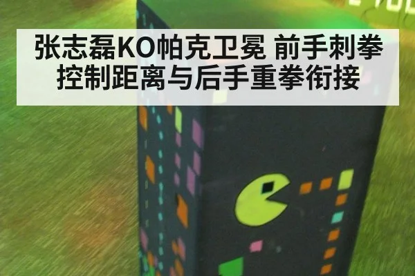 张志磊KO帕克卫冕 前手刺拳控制距离与后手重拳衔接